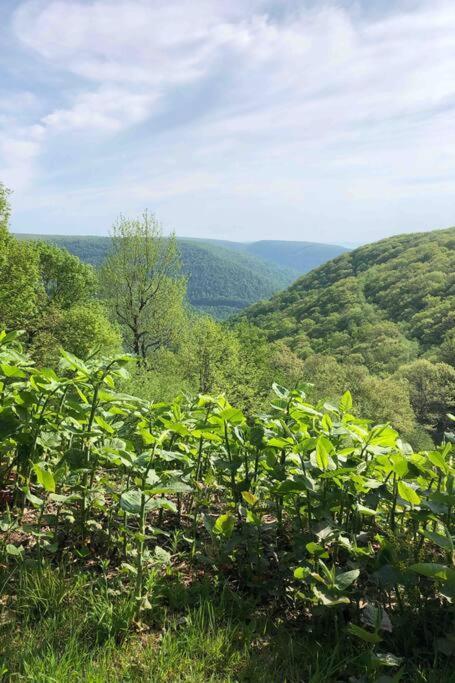 2 Bedroom 2 Bathroom - Blue Knob All Season Resort Condo Claysburg Eksteriør bilde